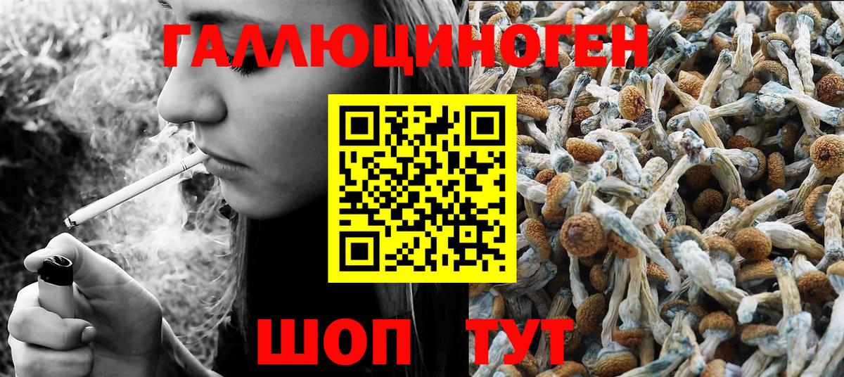 Новокуйбышевск  Галлюциногенные грибы GOLDEN TEACHER  Вход с VPN 