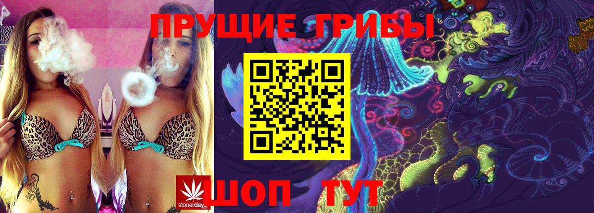 Галлюциногенные грибы GOLDEN TEACHER Новокуйбышевск